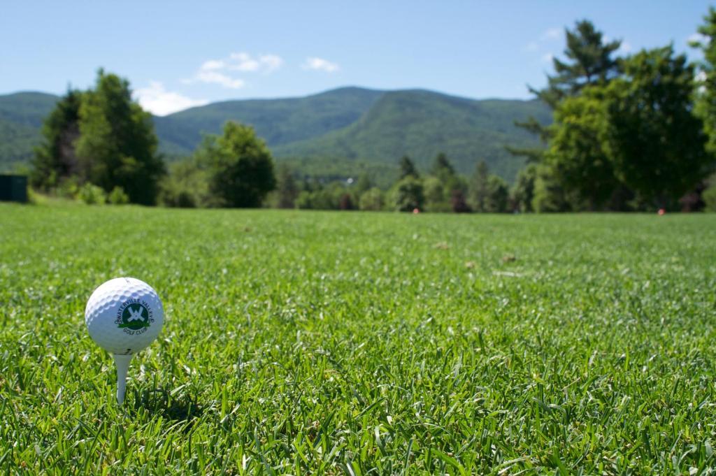 Black Bear Lodge Waterville Valley Luaran gambar
