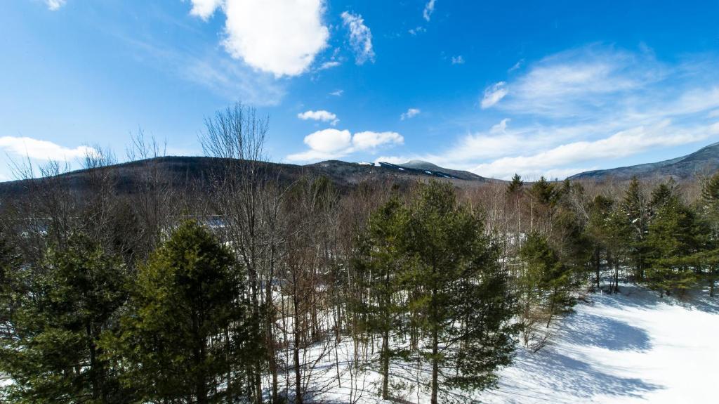 Black Bear Lodge Waterville Valley Luaran gambar