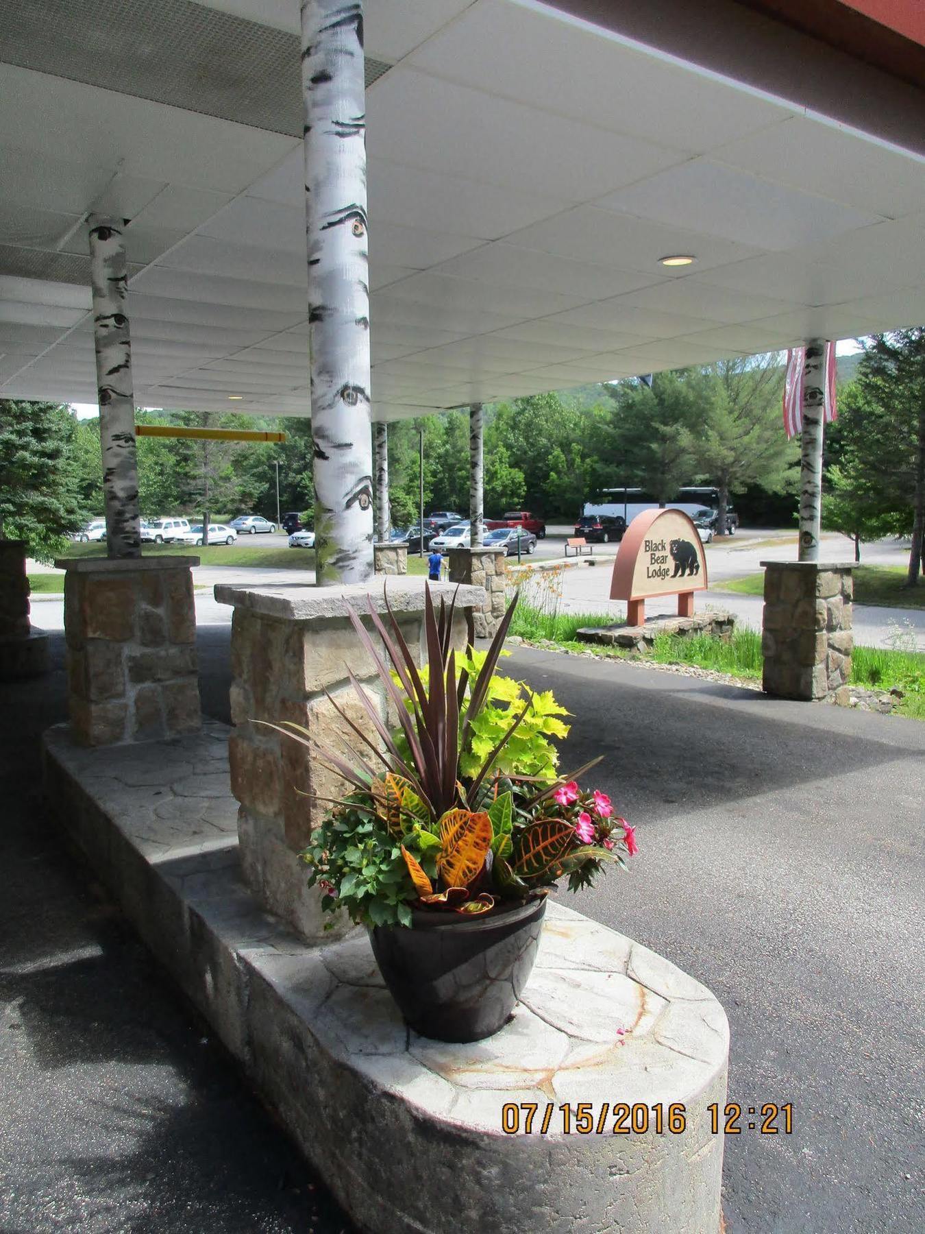 Black Bear Lodge Waterville Valley Luaran gambar